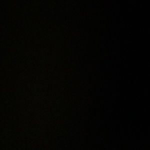 Meet your Posher, Mia